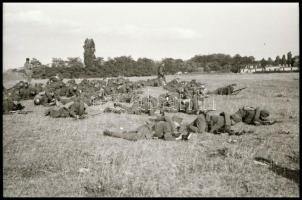 II. világháborús katonai negatívok tekercsben, mintegy 30 kocka, géppuska, lőszer, stb