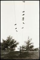 II. világháborús katonai negatívok tekercsben, mintegy 30 kocka, géppuska, lőszer, stb