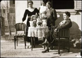 Régi polgári lakásbelsők, bútorok, 6 db fotónegatív, 6×9 cm