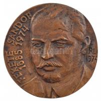 Rajki László (1939-) 1974. Fekete Sándor 1885-1974 egyoldalas, öntött bronz emlékérem (~68-69mm) T:1-