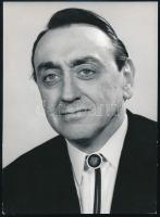 Kibédi Ervin (1924-1997) színész fotója, 18×13 cm