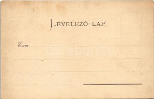 Szatmárnémeti, Szatmár, Satu Mare; látkép, Székesegyház, Irgalmasok rendháza. Lövy Miksa kiadása / g...