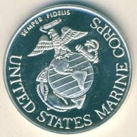 USA 1991. "Amerikai Tengerészeti Testület-Sivatagi vihar művelet" Ag emlékérem 31,2g T:PL