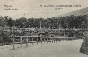 Algyógy sanatorium