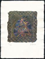 Szyksznian Wanda (1948- ): Ló. C print, merített papír.. Jelzett, sorszámozott 50/18. 12x13 cm