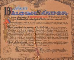 1925 I. világháborús részvételért adott emlék oklevél a M. kIr. Hadtörténelmi Levéltár kiadása. Perg...