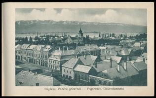 cca 1925 Fogaras és környéke képes leporello füzet 40 képpel
