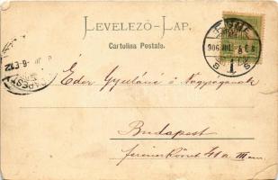 1906 Fiume, Rijeka; Schloss Tersatto mit Kirche / castle, church (EM)