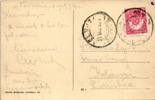 1929 Törökbálint, Szanatórium fekvő hely