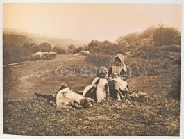 A fotóművészet születése - A piktorializmustól a modern fotográfiáig (1889-1929). / The Birth of Art...