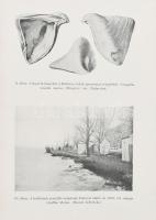 Cholnoky Jenő (1870-1950): Balaton. Magyar Földrajzi Társaság Könyvtára. Bp.,[1937], Franklin. Szöve...