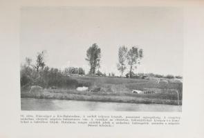 Cholnoky Jenő (1870-1950): Balaton. Magyar Földrajzi Társaság Könyvtára. Bp.,[1937], Franklin. Szöve...