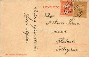 1909 Apatin, mozaiklap. 156. Szavadill József kiadása / multi-view postcard (EK)