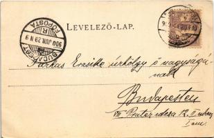 1900 Nagykikinda, Kikinda; Városház, Nemzeti szálloda. Perlstein Márk kiadása / town hall, hotel. Ar...