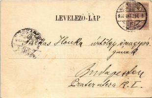 1900 Nagybecskerek, Zrenjanin, Veliki Beckerek; Hunyady utca, Kelemen, Tolveth Károly, Weiterschan, ...