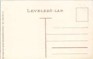 Kolozsvár, Cluj; Piac, Kereskedelmi Részvénytársaság, Marusán, Stein János üzlete. Lepage Lajos kiad...