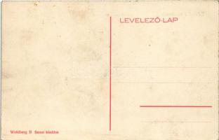 Sülelmed, Silimeghiu, Ulmeni; Fő tér, Wohlberg B. Samu üzlete és saját kiadása / main square, shop