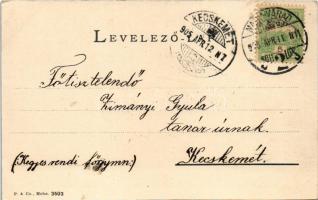 1905 Nagyvárad, Oradea; Városháza. Helyfi László kiadása / town hall