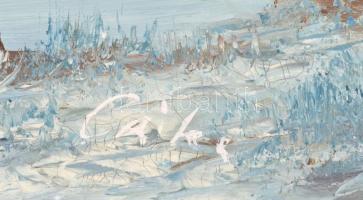 Olvashatatlan jelzéssel: Téli táj. Olaj, vászon. Dekoratív fakeretben. 50x60 cm