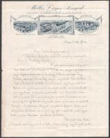 1922 Szeged, Mellis Lajos mészáros, marhakereskedő és sertéshizlaló fejléces levélpapírjára írt levél, rajta a gyár látképével