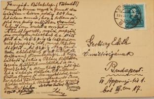 A Gerlóczy család két tagjának Gerlóczy Zsigmondnak és Gerlóczy Gézához kötődő iratok gyűjteménye: l...