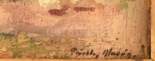 Pádly Aladár (1881-1949): Falusi utca. Olaj, falemez, jelzett. Hátoldalán autográf felirattal. Dekor...