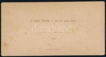 1888 Csorba-tó, Magas-Tátra, keményhátú fotó, hátoldalon feliratozva, 11×21 cm / Štrbské pleso, Vyso...