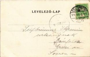 1908 Esztergom, Bazilika és prímási palota, hajóállomás, gőzhajó (EK)