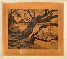Nyári Lóránt (1928-1982) Papszigeti fák, 1970. Rézkarc, papír, jelzett, foltos, üvegezett fakeretben, 29×39 cm