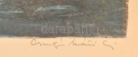Csurgói Máté Lajos (1931-2001): Gesztenyefák. Színes rézkarc, papír, jelzett. Üvegezett fakeretben. ...