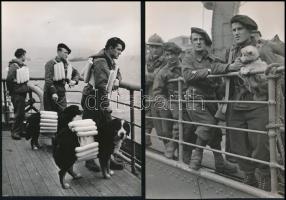 Haditudósítós fotók 3 db Norvégiába küldött francia deszantosok / French dessant soldiers to Norway 13x18 cm