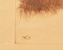 Szász Endre (1926-2003): Gyerek arcképek, 4 db. Rézkarc, papír, jelzett a karcon, foltos, egyik lap ...