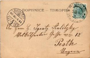 1901 Rozmitál, Návrh na vystaveni nového kostela, Lid pri msi sv. v starém kostele / Javaslat egy új...