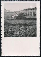 cca 1940 Fiat-Ansaldo L3/35 könnyű harckocsi, fotó, 8,5x6 cm / Fiat-Ansaldo L3/35 tankette, photo