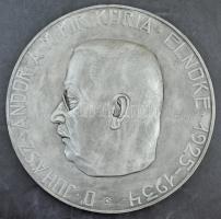 Solymári Valkó László (1909-1984) 1934. "Dr. Juhász Andor a M. Kir. Kúria elnöke 1925-1934" nagyméretű festett gipsz plakett, hátlapján múzeumi törzskönyvi lap (426mm) T:2 kisebb lepattanások, kopások / Csak személyes átvétellel!