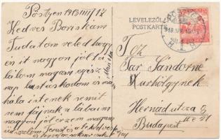 1918 Pöstyén, Piestany; Kilátás a Kárpátokra / Ausblick auf die Karpathen / view of the Karpathian m...