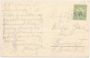 Igló, Zipser Neudorf, Spisská Nová Ves; Madarász park. Ferencz D. kiadása / park (EK)