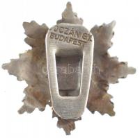 1922. "A Magyar Vöröskereszt Érdemcsillaga" aranyozott, zománcozott gomblyukjelvény miniat...