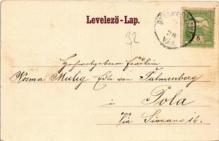 Gyulafehérvár, Alba Iulia; Püspöki palota. Petri F. Vilmos kiadása / Bischofs-Palais / bishop's...