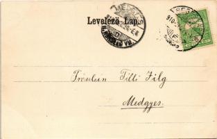 1910 Segesvár, Schässburg, Sighisoara; Gewerbevereinshaus / Iparos Egylet háza, August Lang üzlete, ...