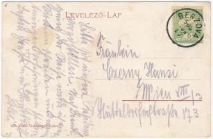 1908 Berzova, Marosborsa, Barzava; üzlet, vendéglő, villa, Fő utca. Goldberger Gábor kiadása / shop,...