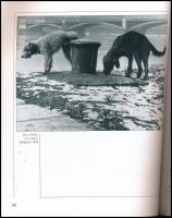 Kincses Károly: Vydareny Iván. A fotográfus, építész, festő. A magyar fotográfia történetéből 18. H....