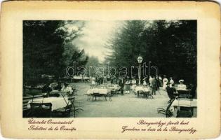 1911 Oravica, Oravita; Bányavölgyi fürdő kert vendéglője. W.L. Bp. 1213. J. E. Tieranu / spa restaurant garden (szakadás / tear)