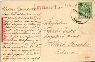 1911 Székelyhíd, Sacueni; Millenniumi emlékmű. W.L. (?) 2263. Dubay Emánuel kiadása / Millennium mon...