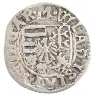 1498-1503K-H Denár Ag II. Ulászló (0,70g) T:2 Hungary 1498-1503K-H Denar Ag Wladislaus II (0,70g) C:XF Huszár: 809. Unger I.: 644.a