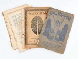1911 Aurora, irodalmi, művészeti, színházi és zenei havi folyóirat I. évfolyam két száma, ázásfoltokkal, borító levált