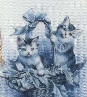 Cicás szelence. Ezüst, zománc (sérült) régi magyar fémjellel 101 g 5,5x8,5 cm