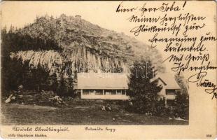 1903 Abrudbánya, Abrud; Detonáta-hegy. Gálfy fényképész kiadása / Detunata / mountain (r)