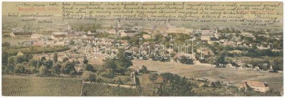 1902 Beregszász, Beregovo, Berehove; Két részes kinyitható panorámalap / 2-tiled folding panoramacard (Rb)