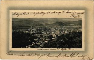 1911 Szilágysomlyó, Simleu Silvaniei; látkép. Ideal W.L. Bp. 7112. Schwarcz E. és Társa kiadása / general view (EK)